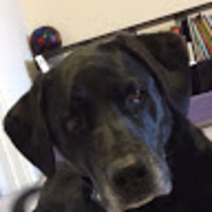 Meet your Posher, Tommy